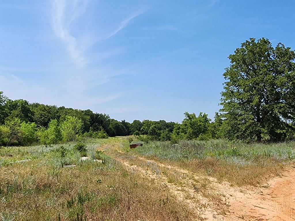 301 Timber Trail Alvord, TX 76225 - Photo 2 of 3