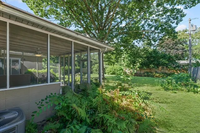 a view of a backyard with plants