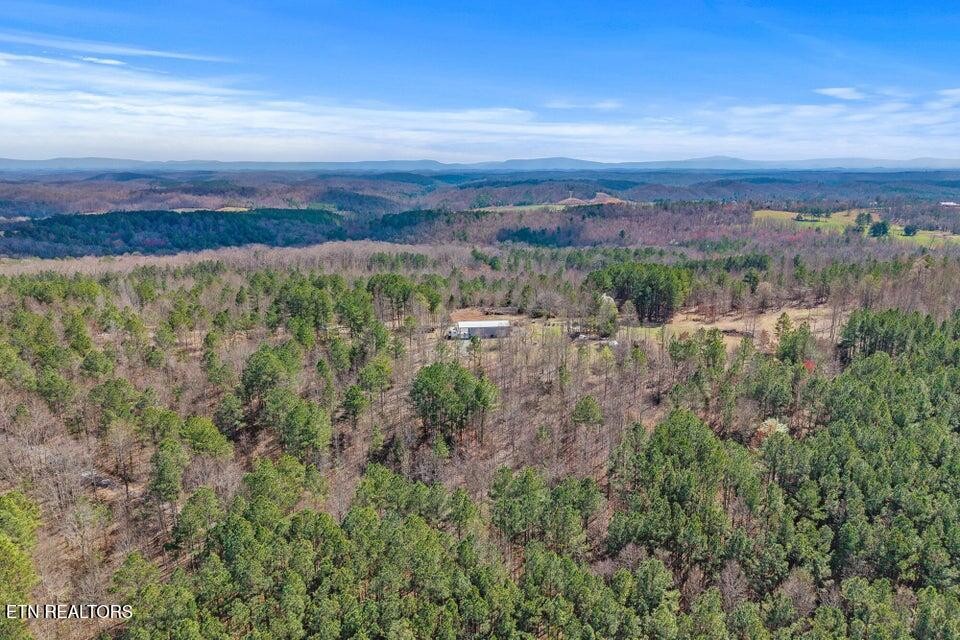 5110 South No Pone Valley Road Decatur, TN 37322 - Photo 22 of 42 Gallery Image 22