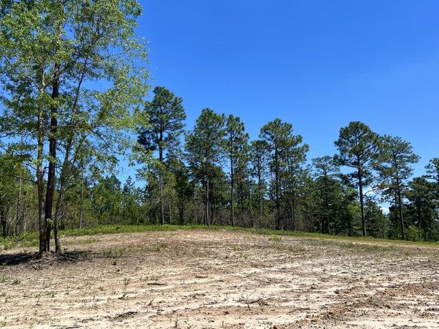 Na Fire Tower Road Aiken, SC 29803 - Photo 4 of 5