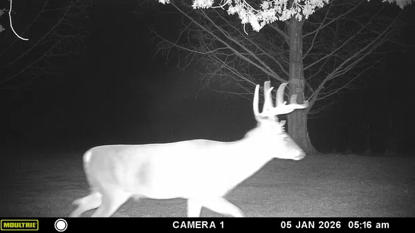 $229,900 | 5032 Nell Lee Road, Bennington, IN 47011