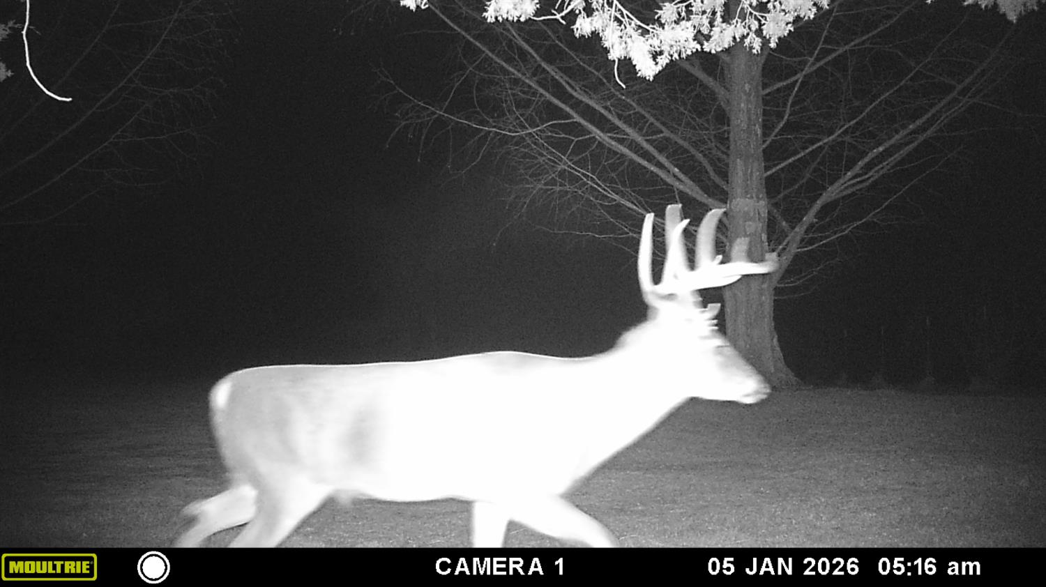 5032 Nell Lee Road Bennington, IN 47011 - Photo 31 of 49