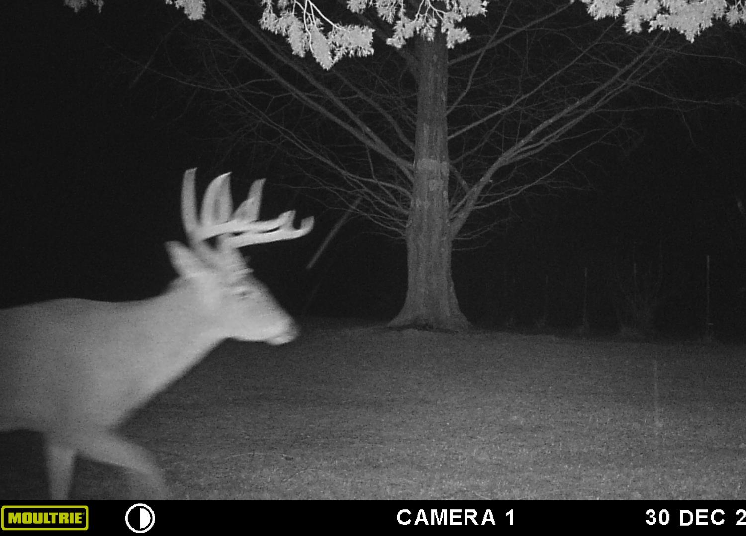 5032 Nell Lee Road Bennington, IN 47011 - Photo 33 of 49