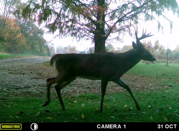 $229,900 | 5032 Nell Lee Road, Bennington, IN 47011