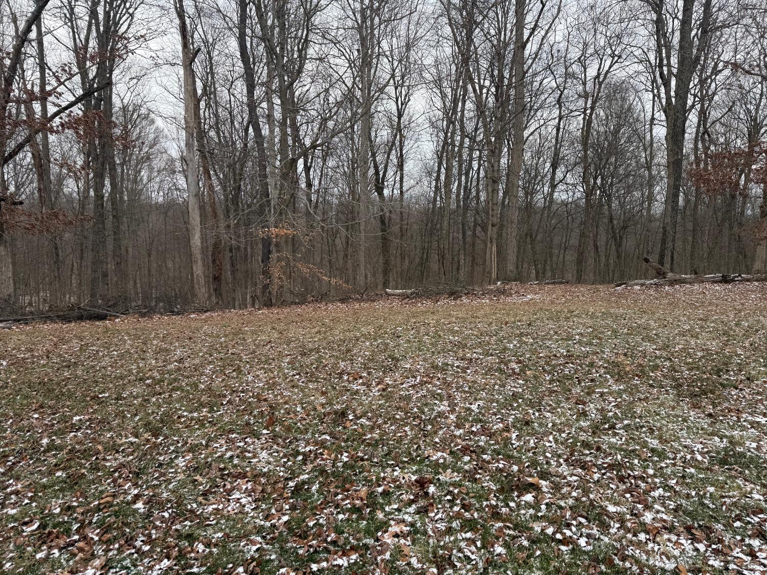 5032 Nell Lee Road Bennington, IN 47011 - Photo 37 of 49