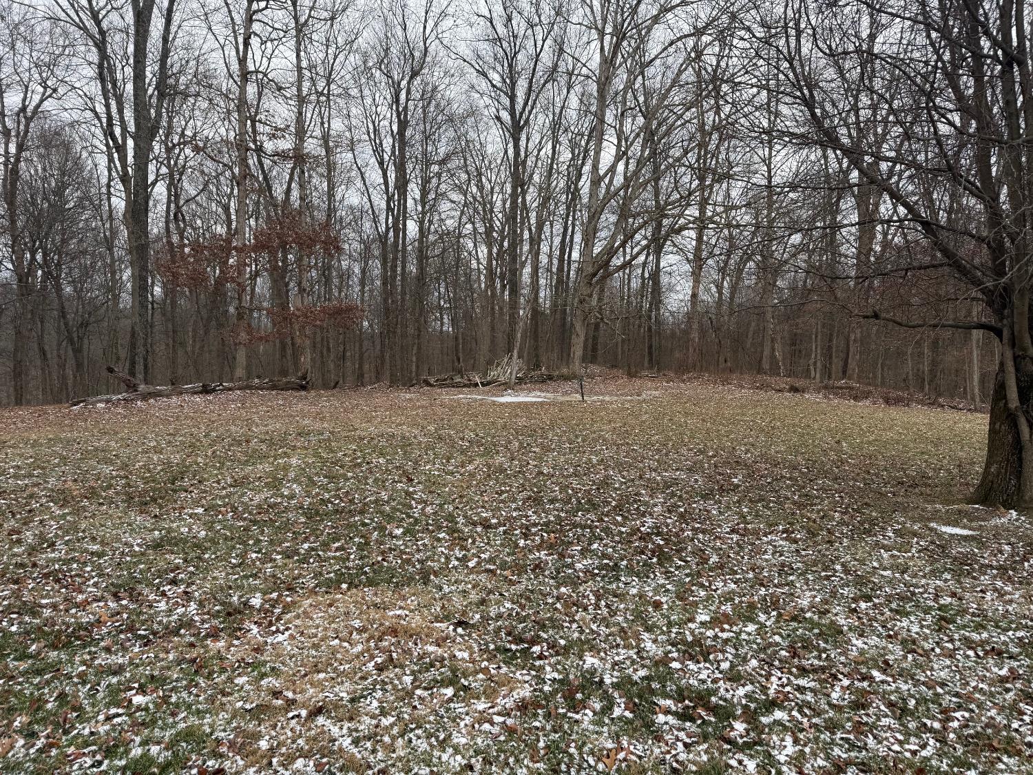 5032 Nell Lee Road Bennington, IN 47011 - Photo 38 of 49