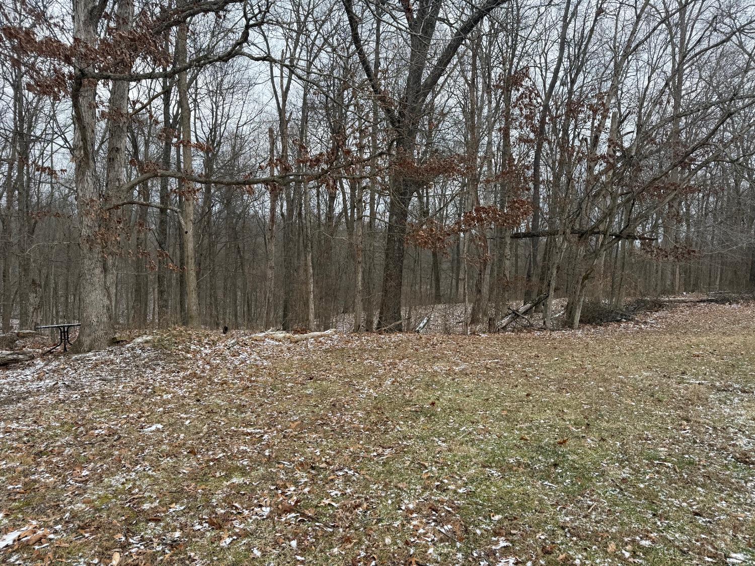 5032 Nell Lee Road Bennington, IN 47011 - Photo 39 of 49