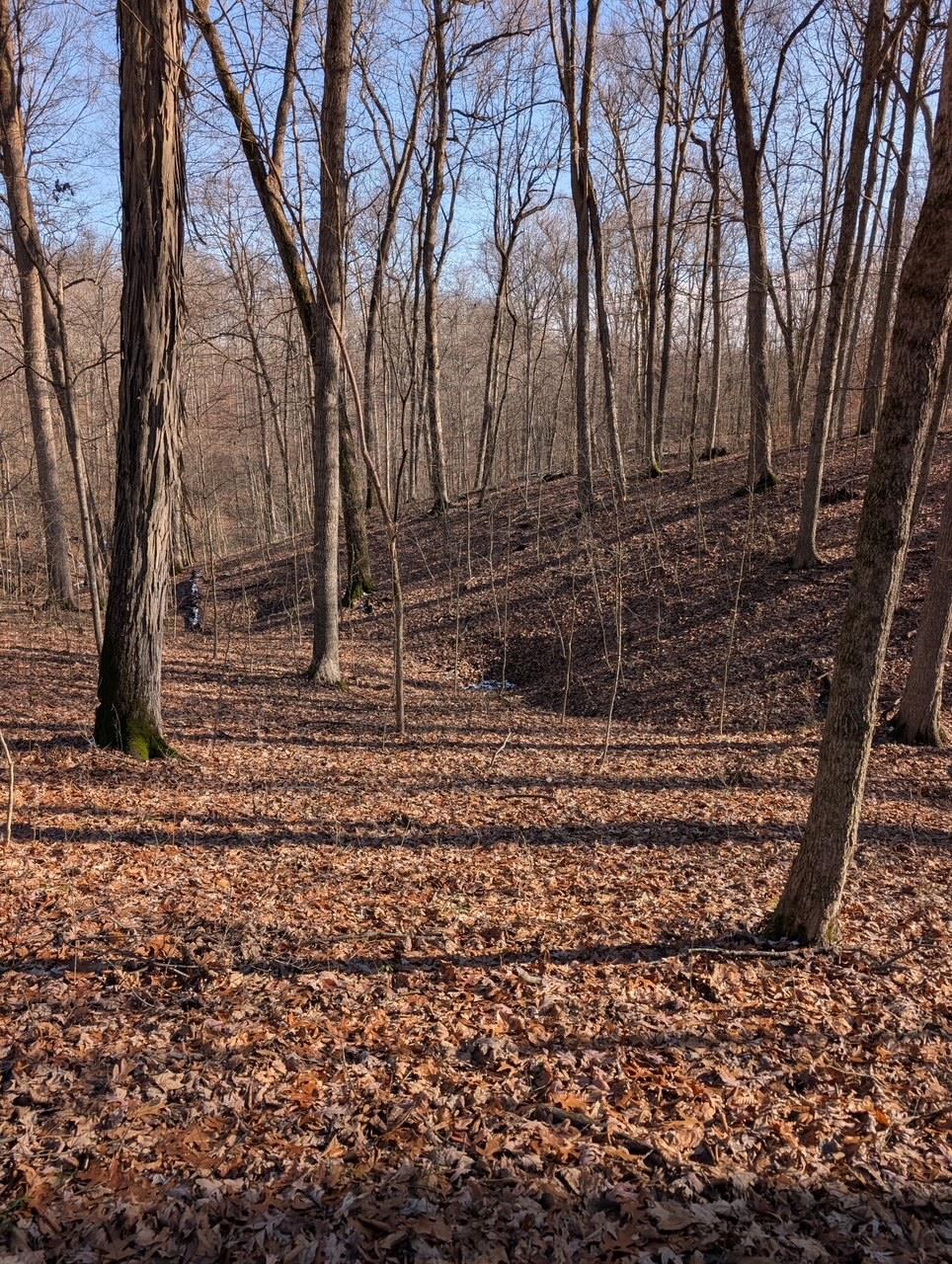 5032 Nell Lee Road Bennington, IN 47011 - Photo 43 of 49