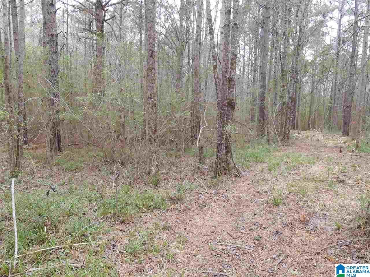 Oak Tree Drive, Unit 3A Chelsea, AL 35043 - Photo 4 of 4