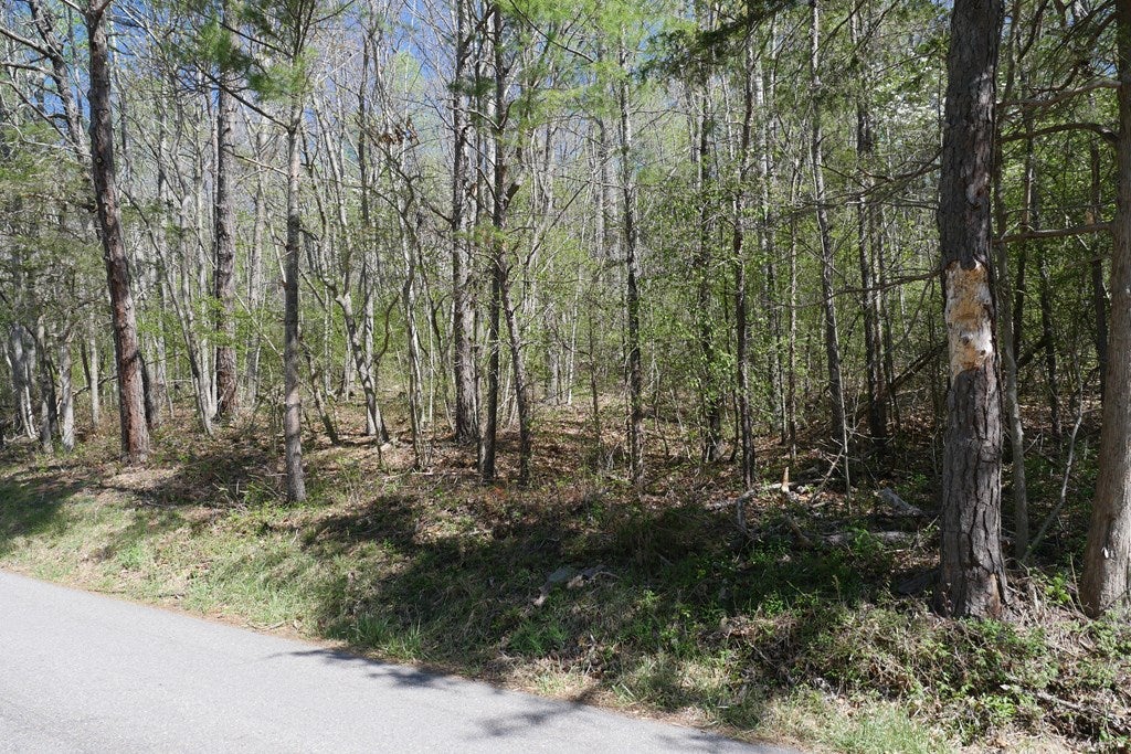Tbd Camp Road Sugar Grove, VA 24375 - Photo 32 of 67 Gallery Image 32
