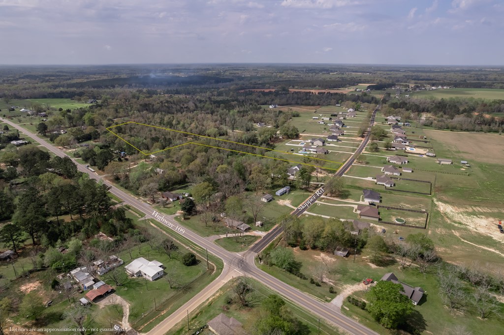 0 Skipper Road Dothan, AL 36301 - Photo 7 of 19