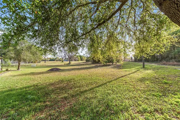 a view of outdoor space with trees