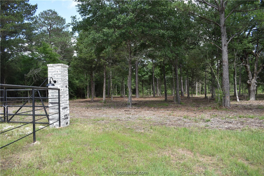 a view of outdoor space and yard