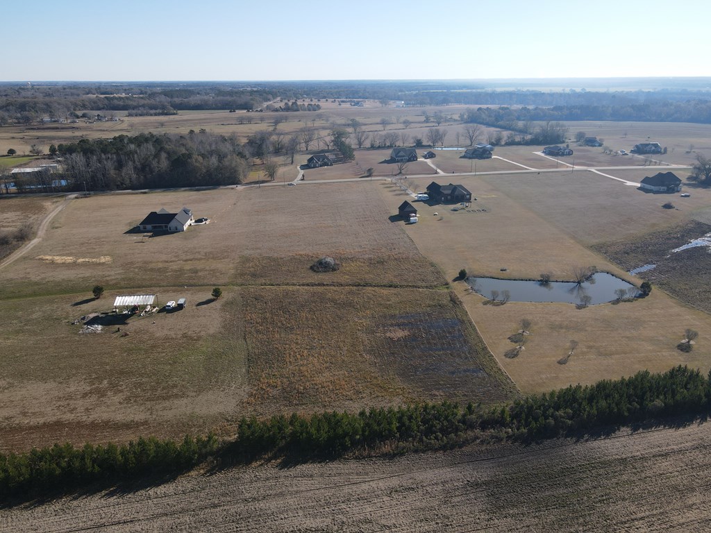 0 County Road 39 Road Headland, AL 36345 - Photo 6 of 7