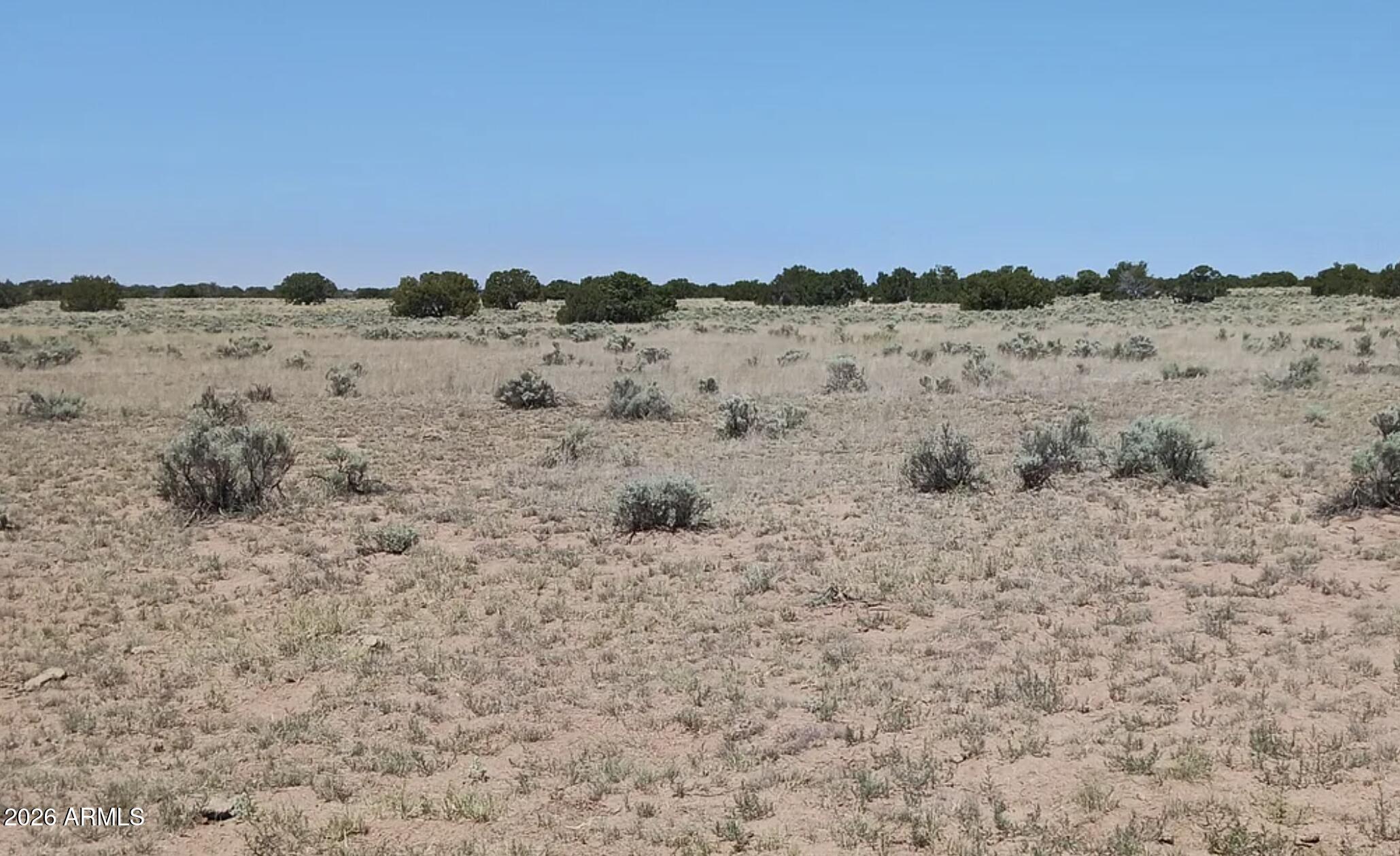 269 County Road St. Johns, AZ 85936 - Photo 7 of 11 269 County Rd N7129