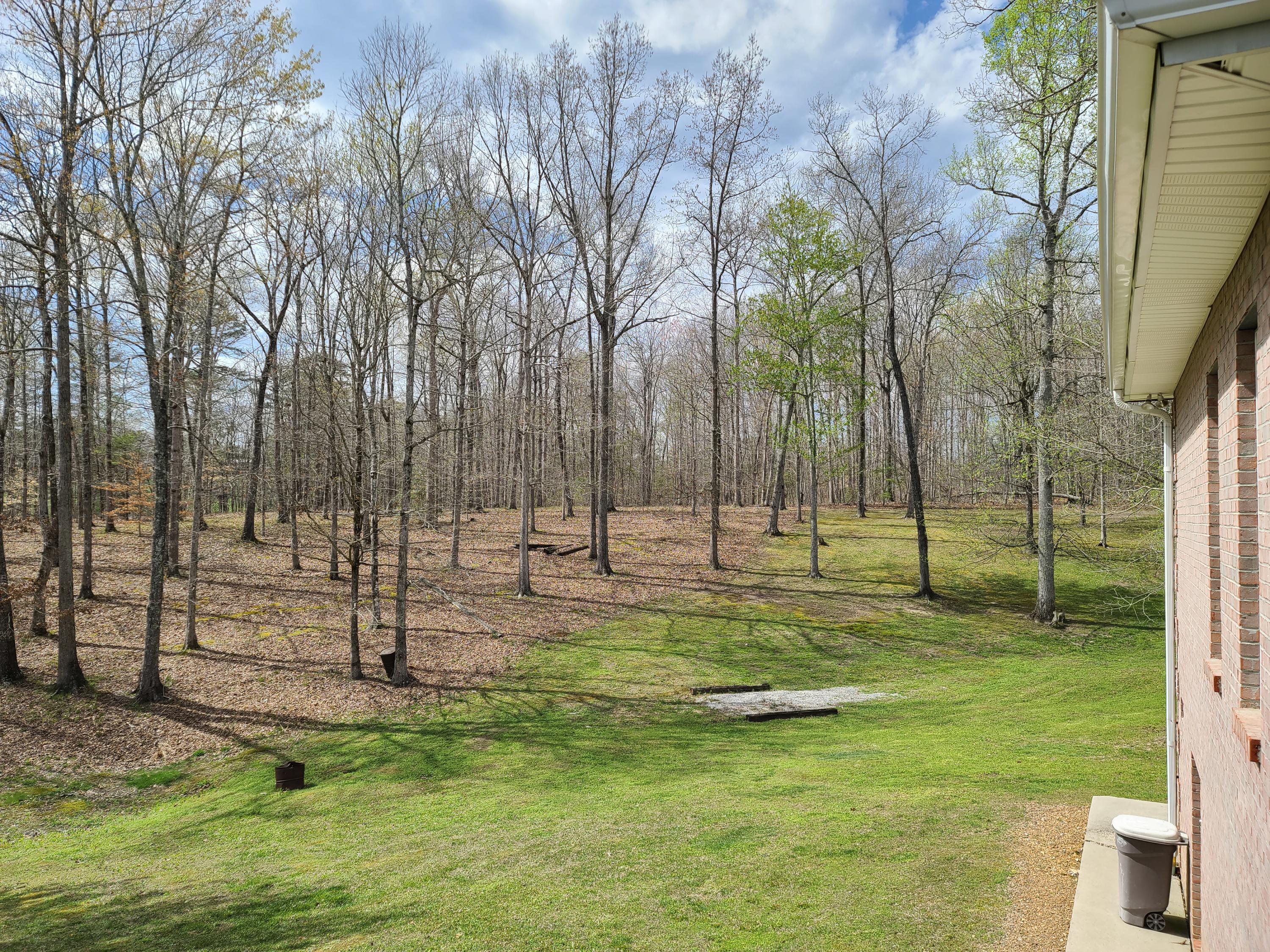 51 Mountain View Drive Strunk, KY 42649 - Photo 29 of 45 20210409_153512