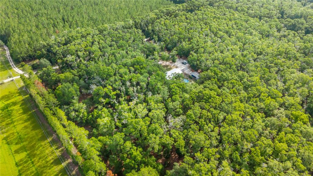 6679 Northwest 27th Place Bell, FL 32619 - Photo 37 of 55