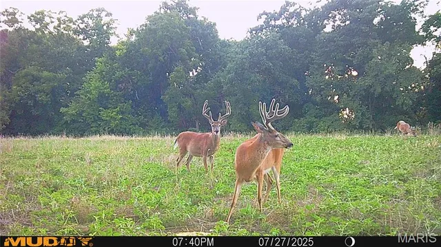 $738,400 | 0 Highway Z Kingdom City Mo 65262, Kingdom City, MO 65262