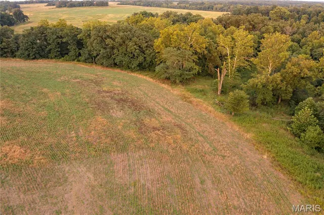 $738,400 | 0 Highway Z Kingdom City Mo 65262, Kingdom City, MO 65262