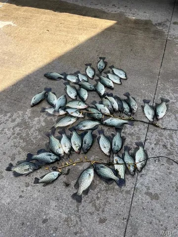 $738,400 | 0 Highway Z Kingdom City Mo 65262, Kingdom City, MO 65262