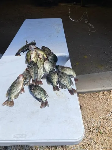 $738,400 | 0 Highway Z Kingdom City Mo 65262, Kingdom City, MO 65262