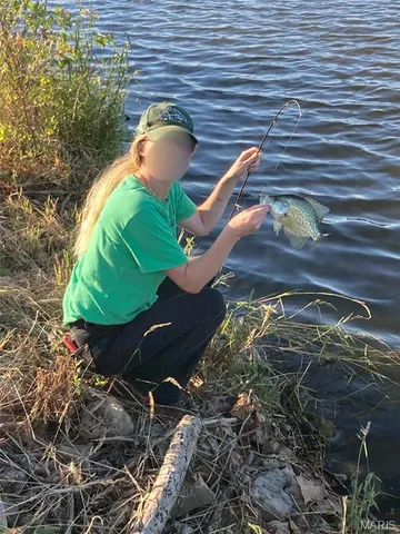 $738,400 | 0 Highway Z Kingdom City Mo 65262, Kingdom City, MO 65262