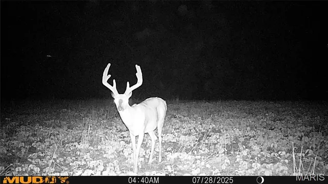 $738,400 | 0 Highway Z Kingdom City Mo 65262, Kingdom City, MO 65262