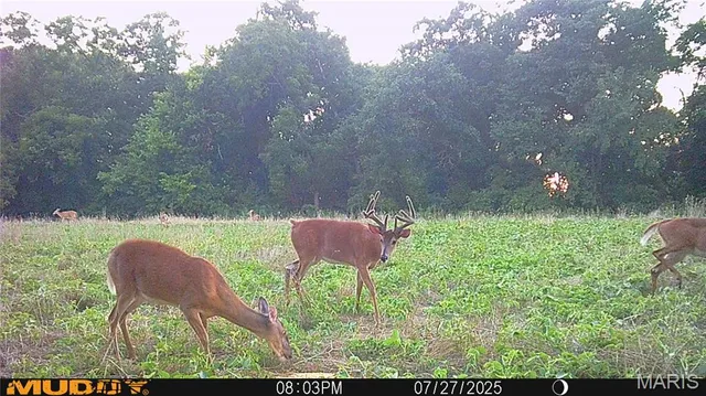 $738,400 | 0 Highway Z Kingdom City Mo 65262, Kingdom City, MO 65262