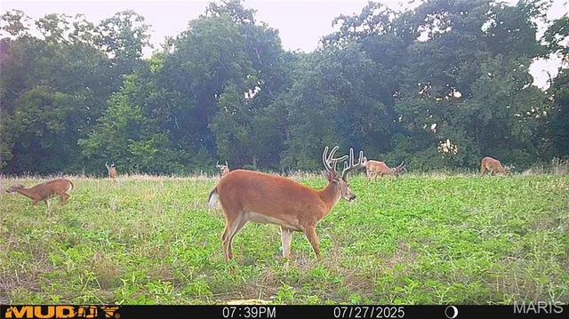 $738,400 | 0 Highway Z Kingdom City Mo 65262, Kingdom City, MO 65262