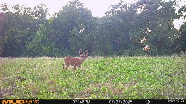 $738,400 | 0 Highway Z Kingdom City Mo 65262, Kingdom City, MO 65262