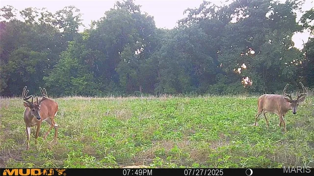 $738,400 | 0 Highway Z Kingdom City Mo 65262, Kingdom City, MO 65262