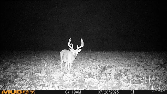 $738,400 | 0 Highway Z Kingdom City Mo 65262, Kingdom City, MO 65262