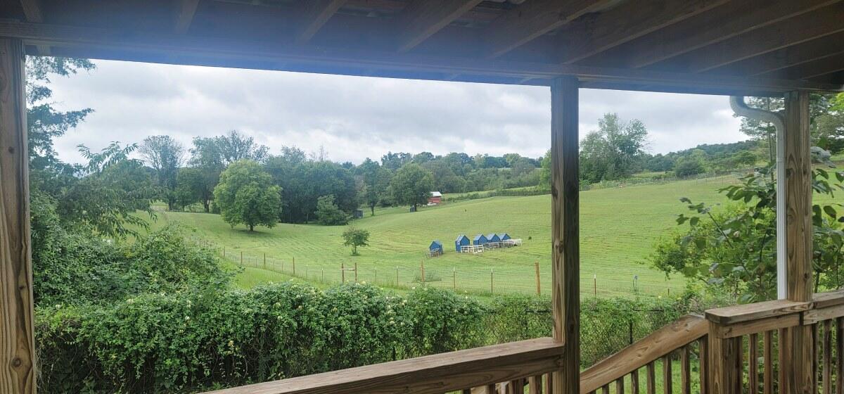 159 Garland Road Limestone, TN 37681 - Photo 3 of 16 159 Garland