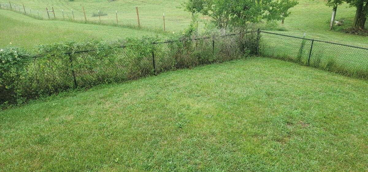 159 Garland Road Limestone, TN 37681 - Photo 4 of 16 159 Garland