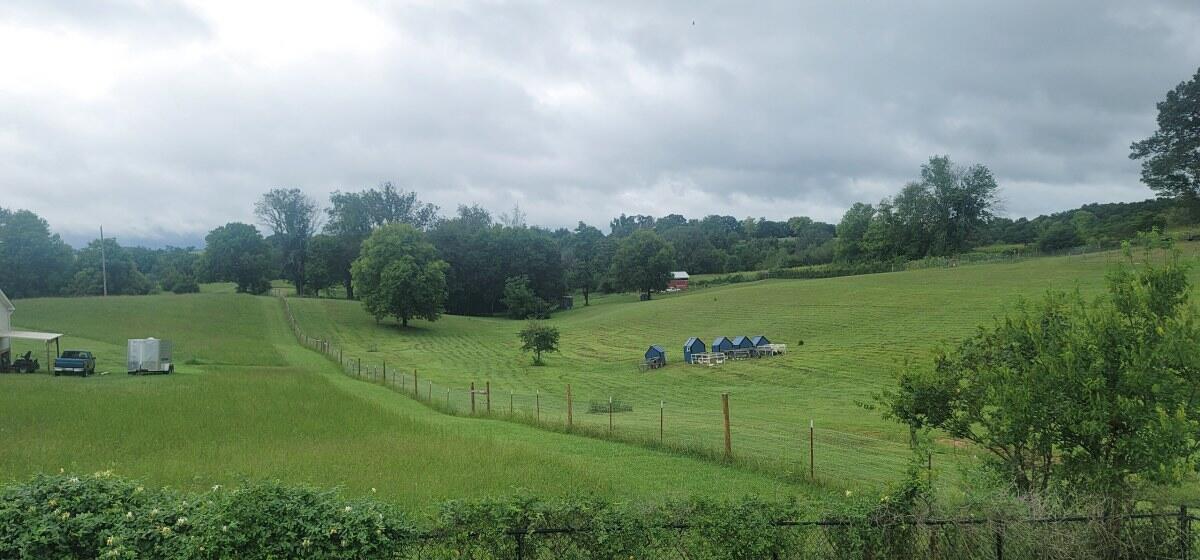 159 Garland Road Limestone, TN 37681 - Photo 5 of 16 159 Garland