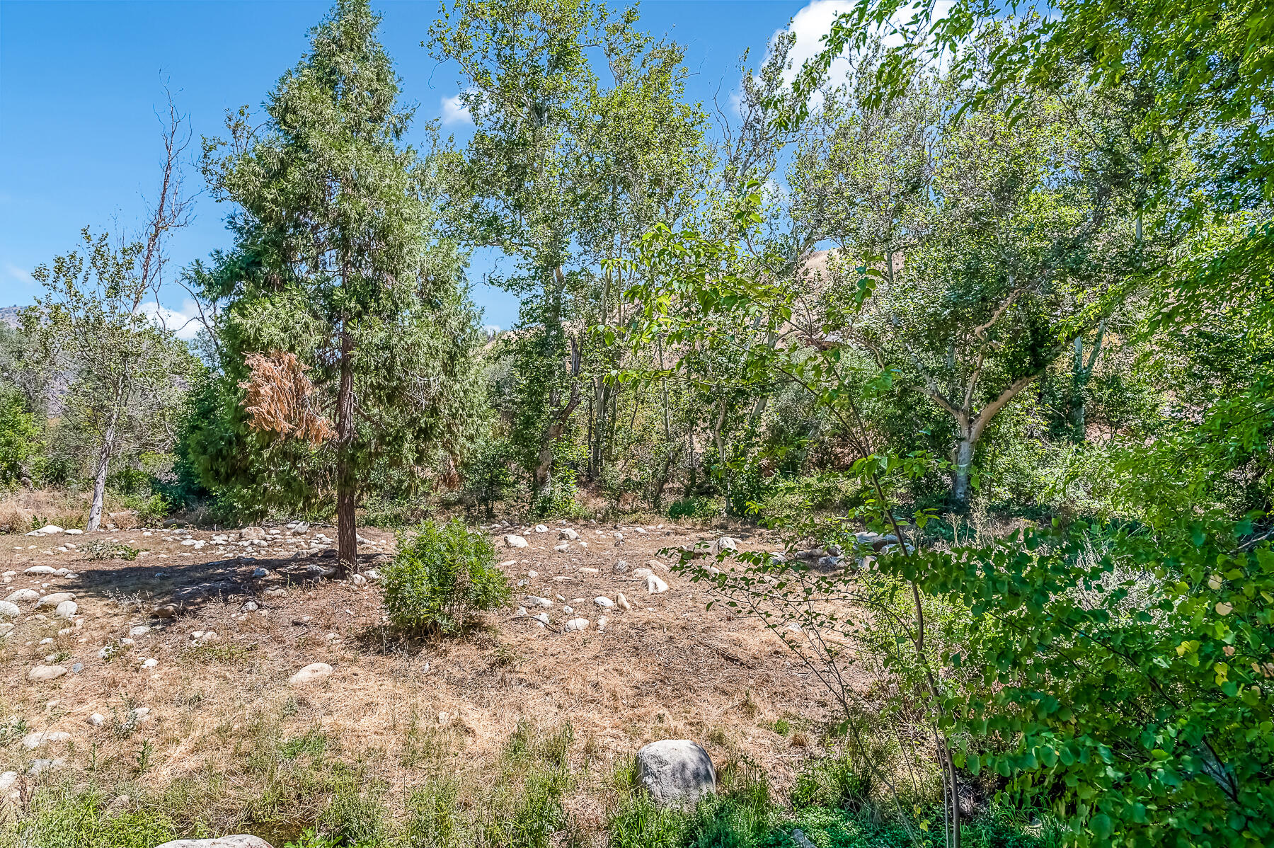 40768 Cherokee Oaks Drive Three Rivers, CA 93271 - Photo 50 of 60 Z62_6726