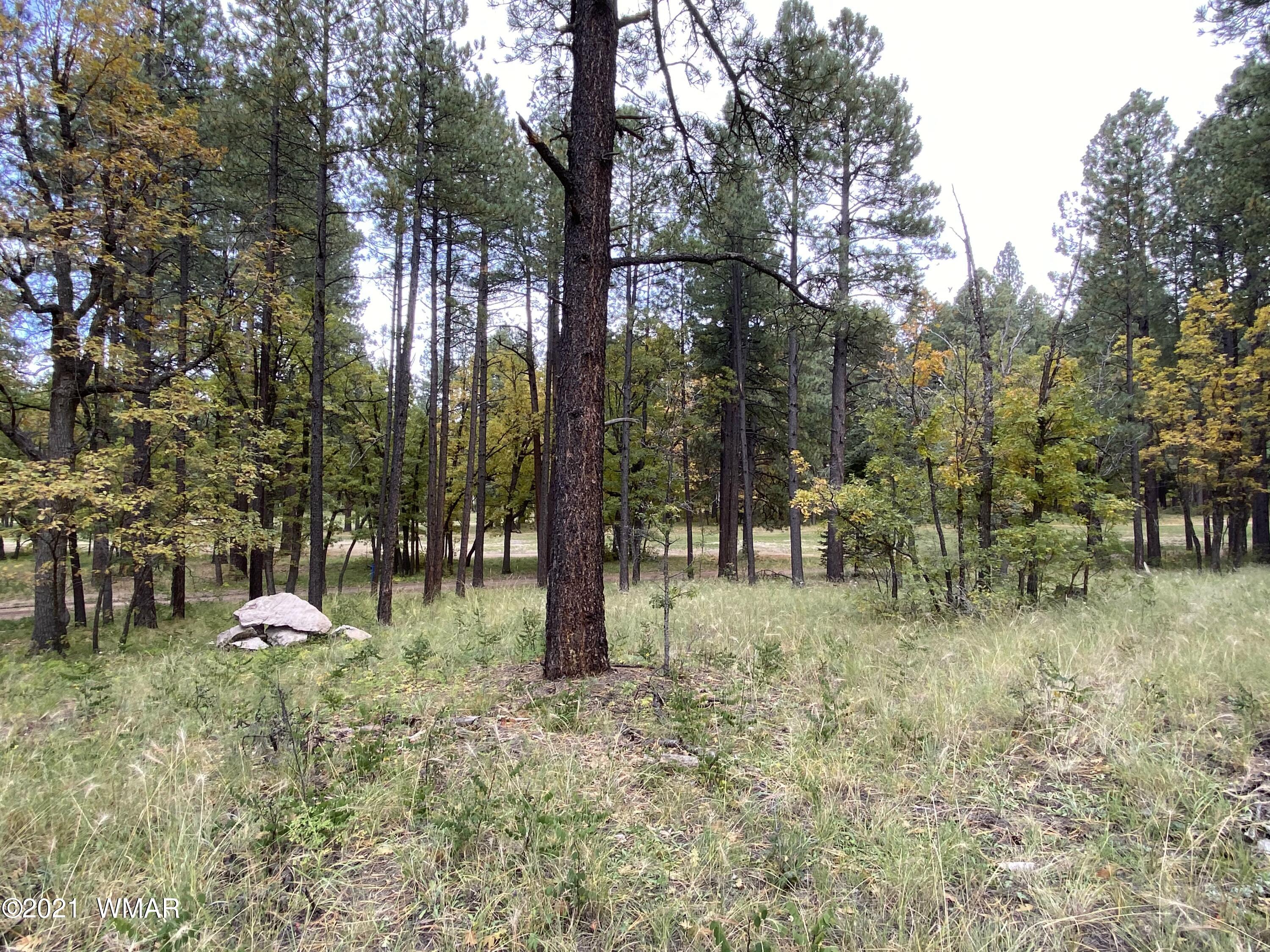 13 County Road Alpine, AZ 85920 - Photo 12 of 24