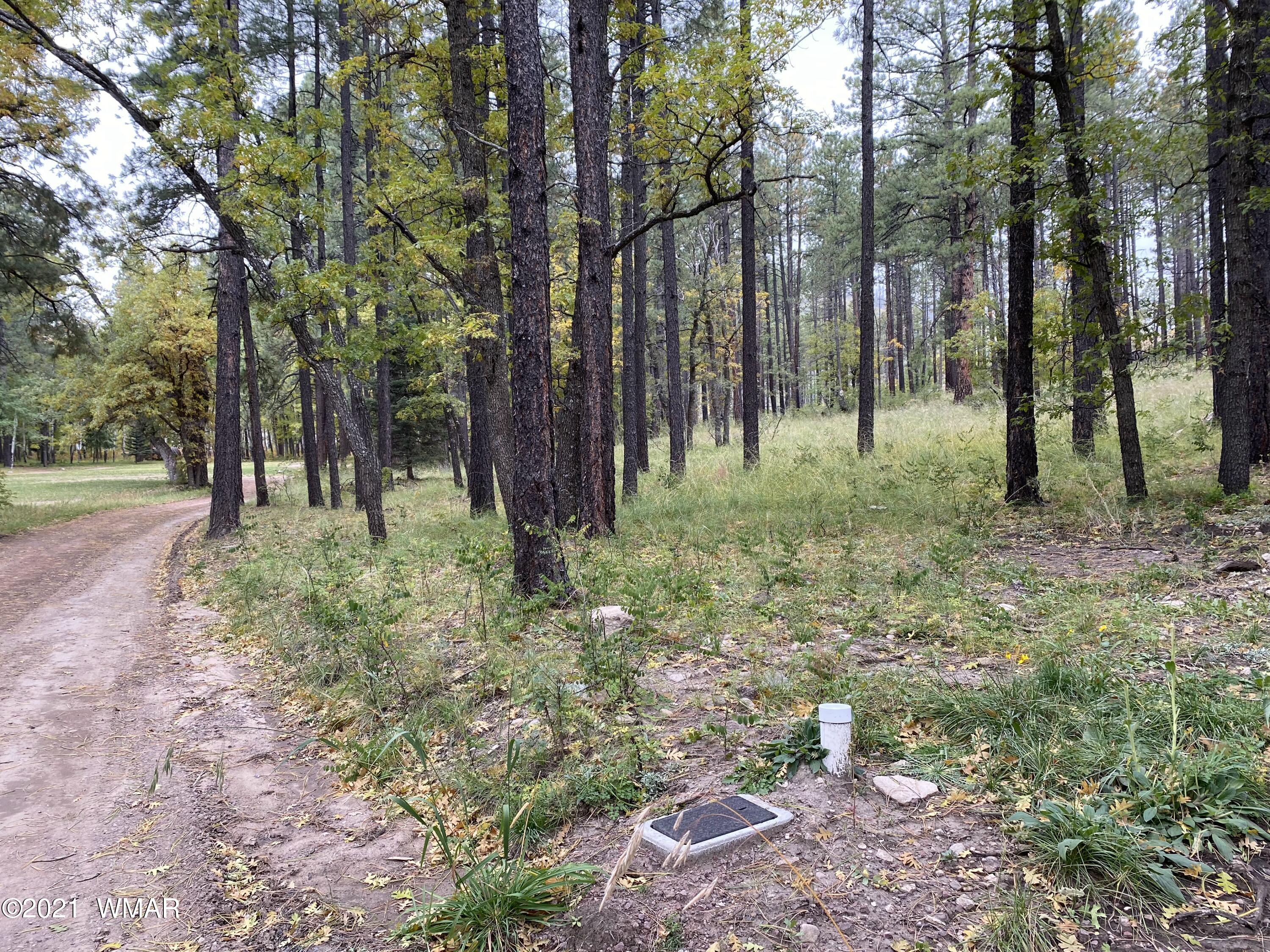 13 County Road Alpine, AZ 85920 - Photo 13 of 24
