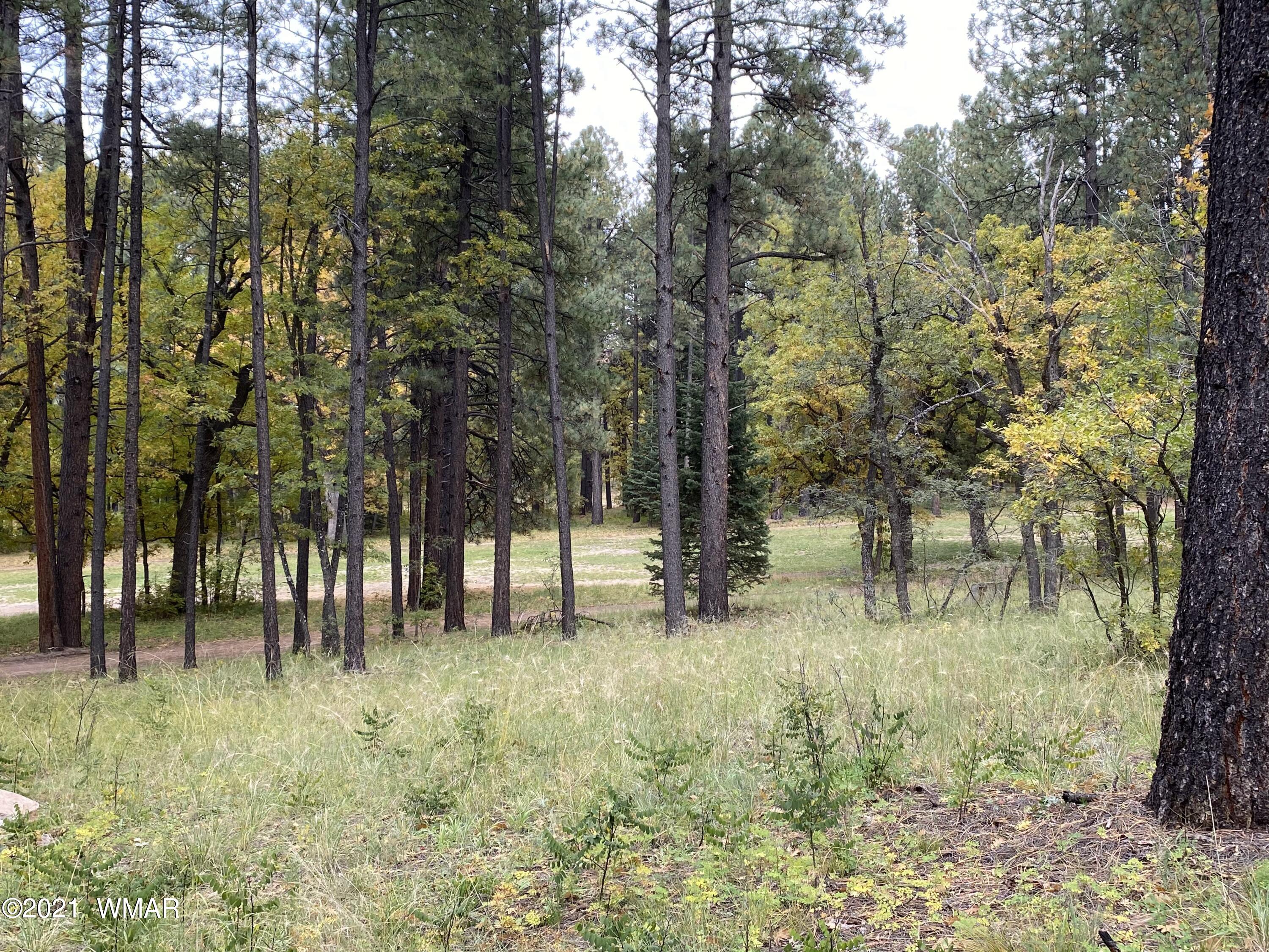 13 County Road Alpine, AZ 85920 - Photo 14 of 24