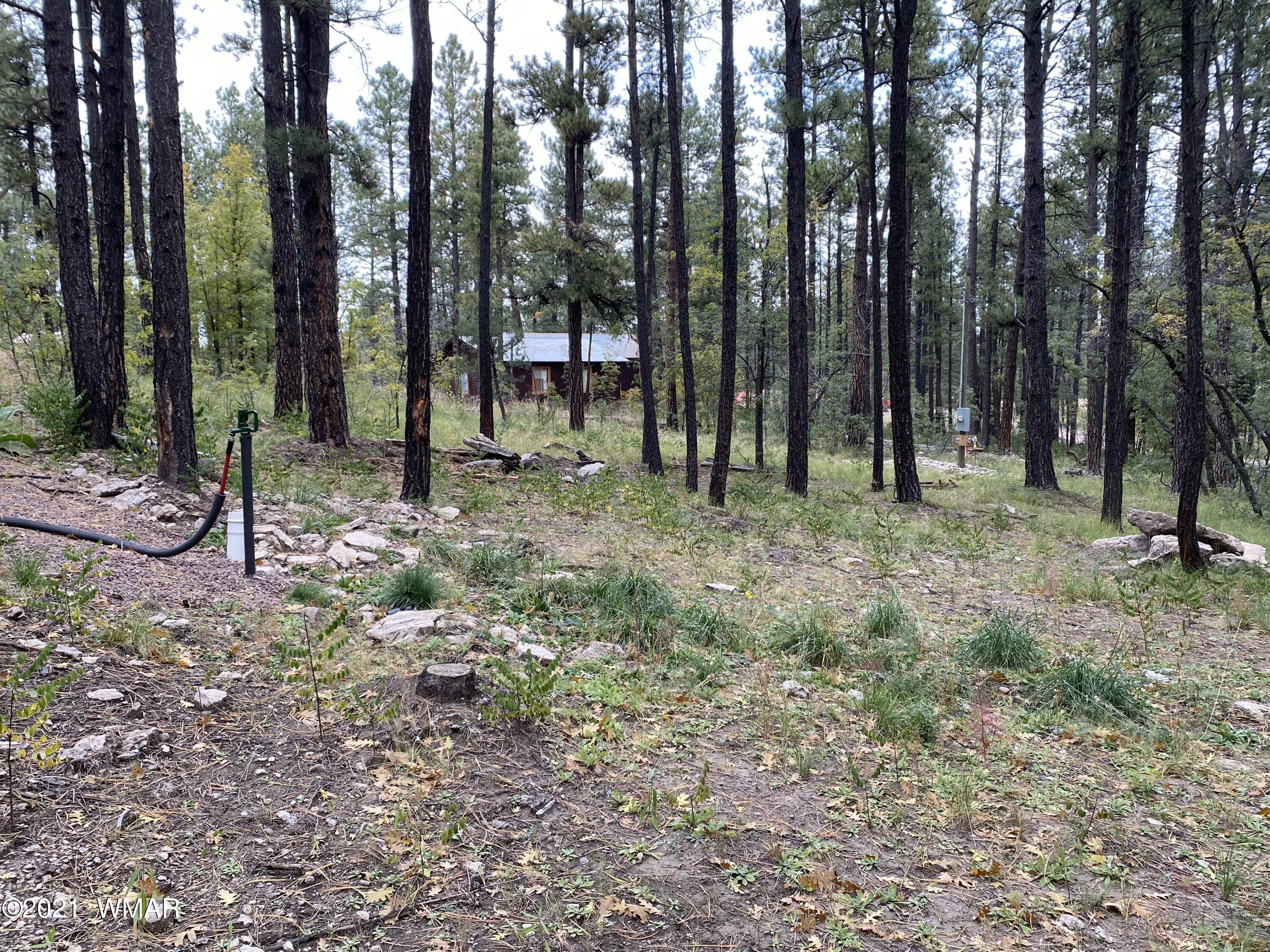 13 County Road Alpine, AZ 85920 - Photo 15 of 24
