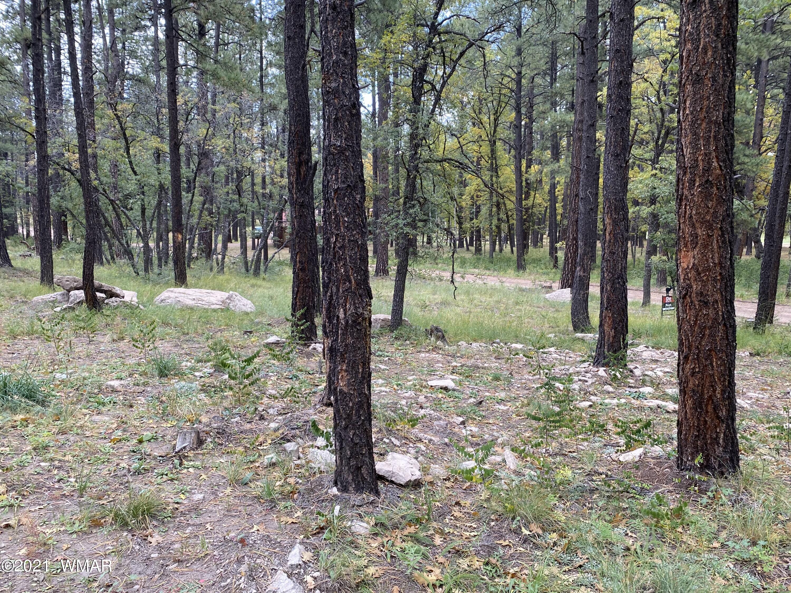 13 County Road Alpine, AZ 85920 - Photo 16 of 24
