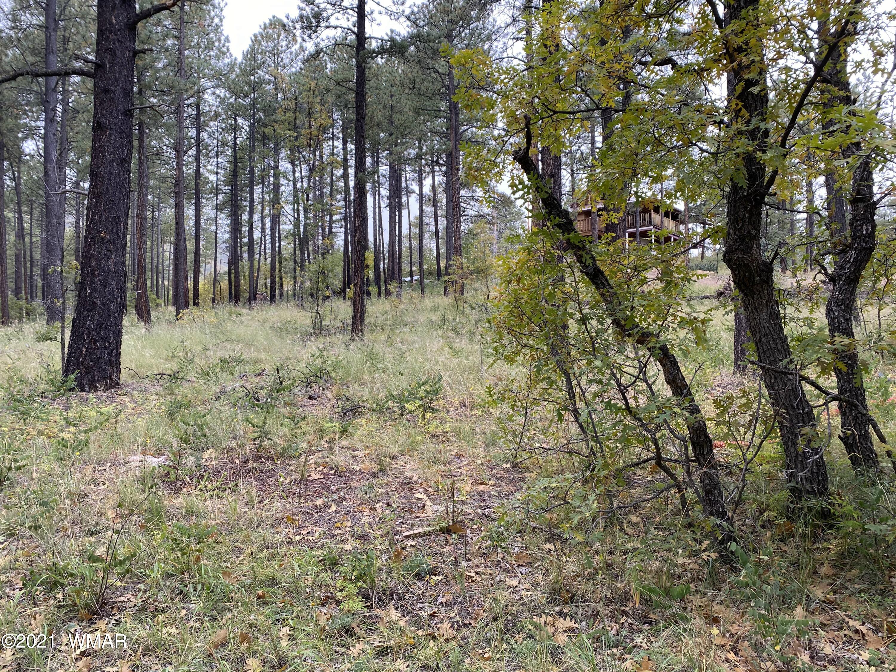 13 County Road Alpine, AZ 85920 - Photo 18 of 24