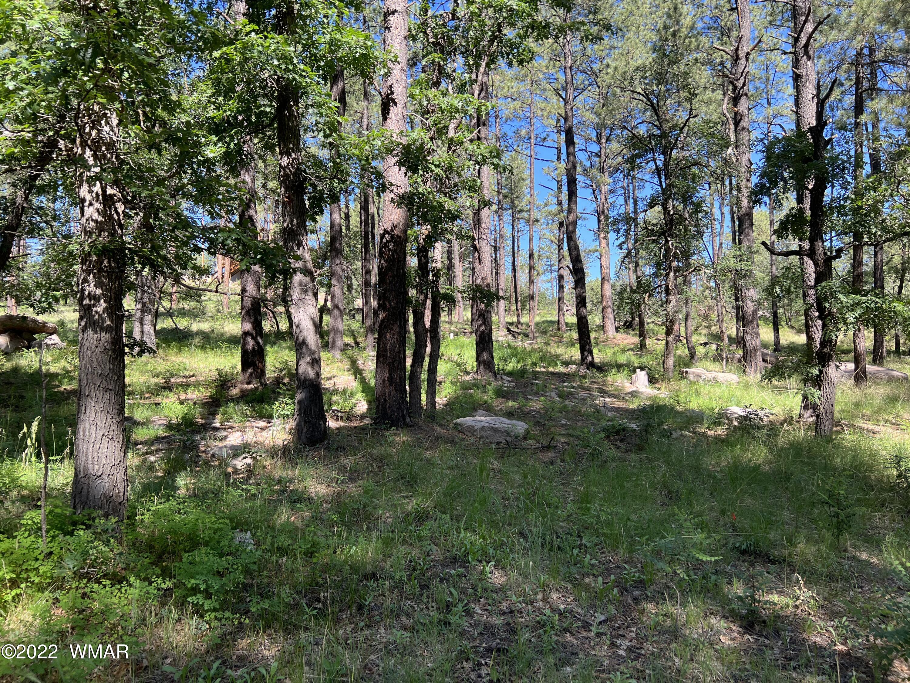 13 County Road Alpine, AZ 85920 - Photo 21 of 24