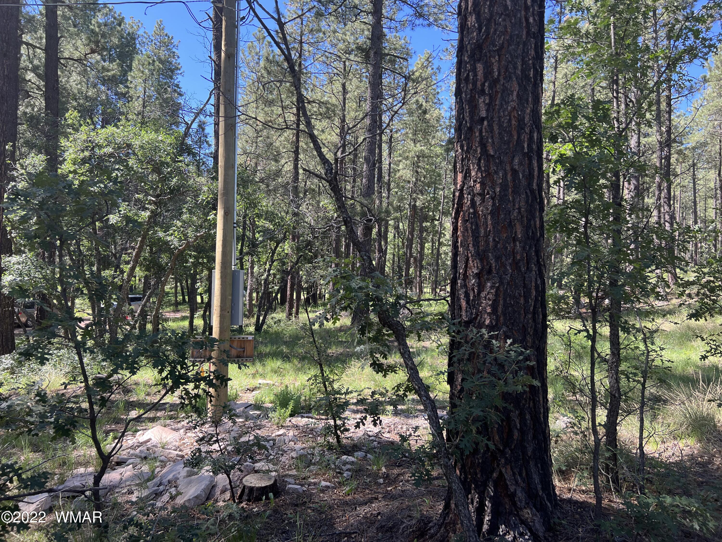 13 County Road Alpine, AZ 85920 - Photo 22 of 24