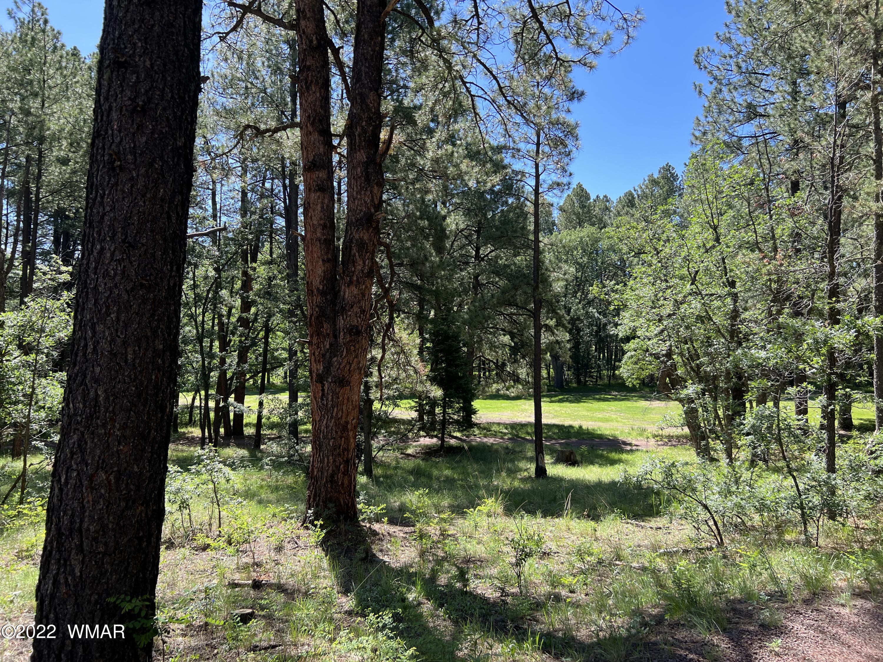 13 County Road Alpine, AZ 85920 - Photo 23 of 24