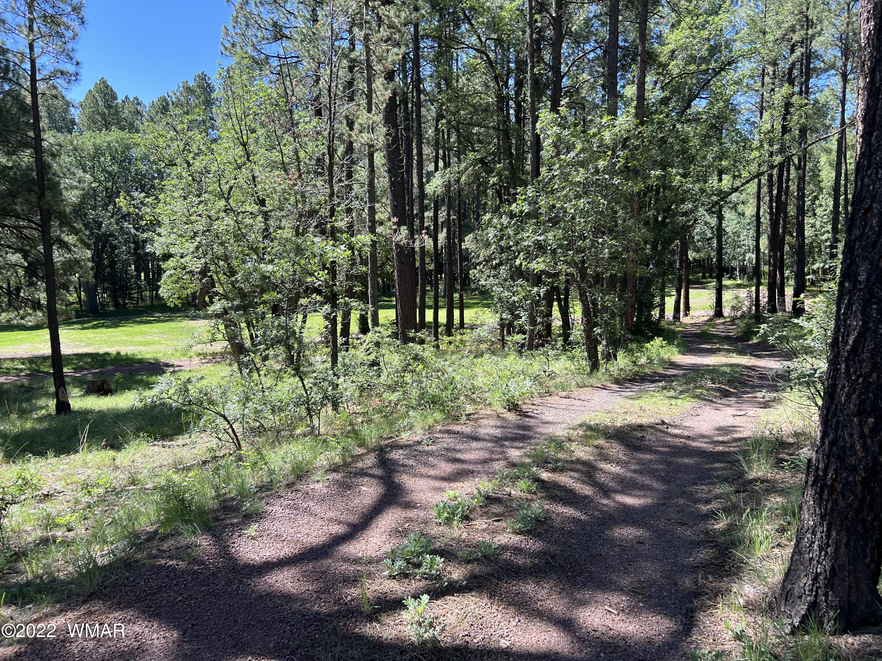 13 County Road Alpine, AZ 85920 - Photo 24 of 24