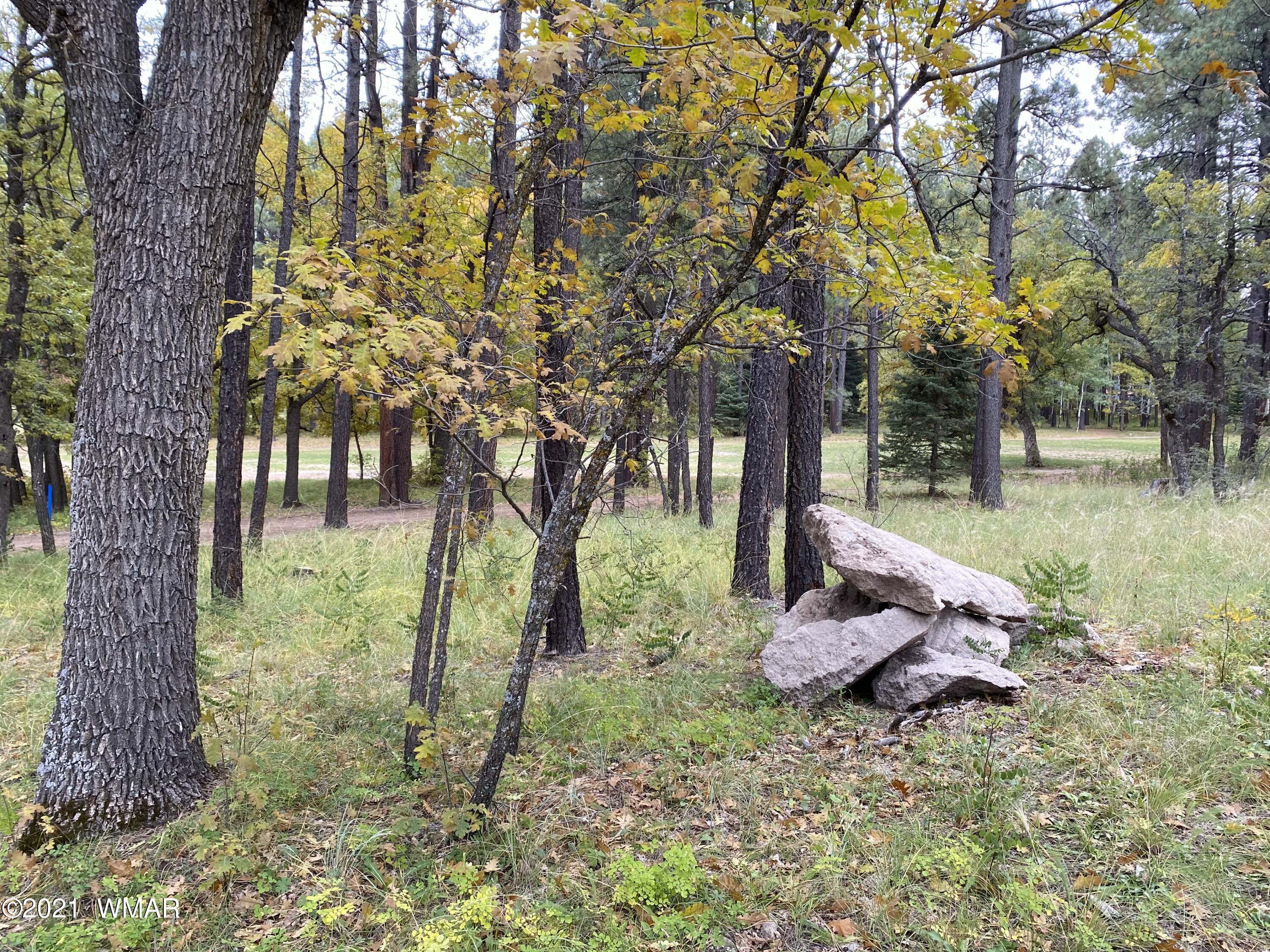 13 County Road Alpine, AZ 85920 - Photo 5 of 24