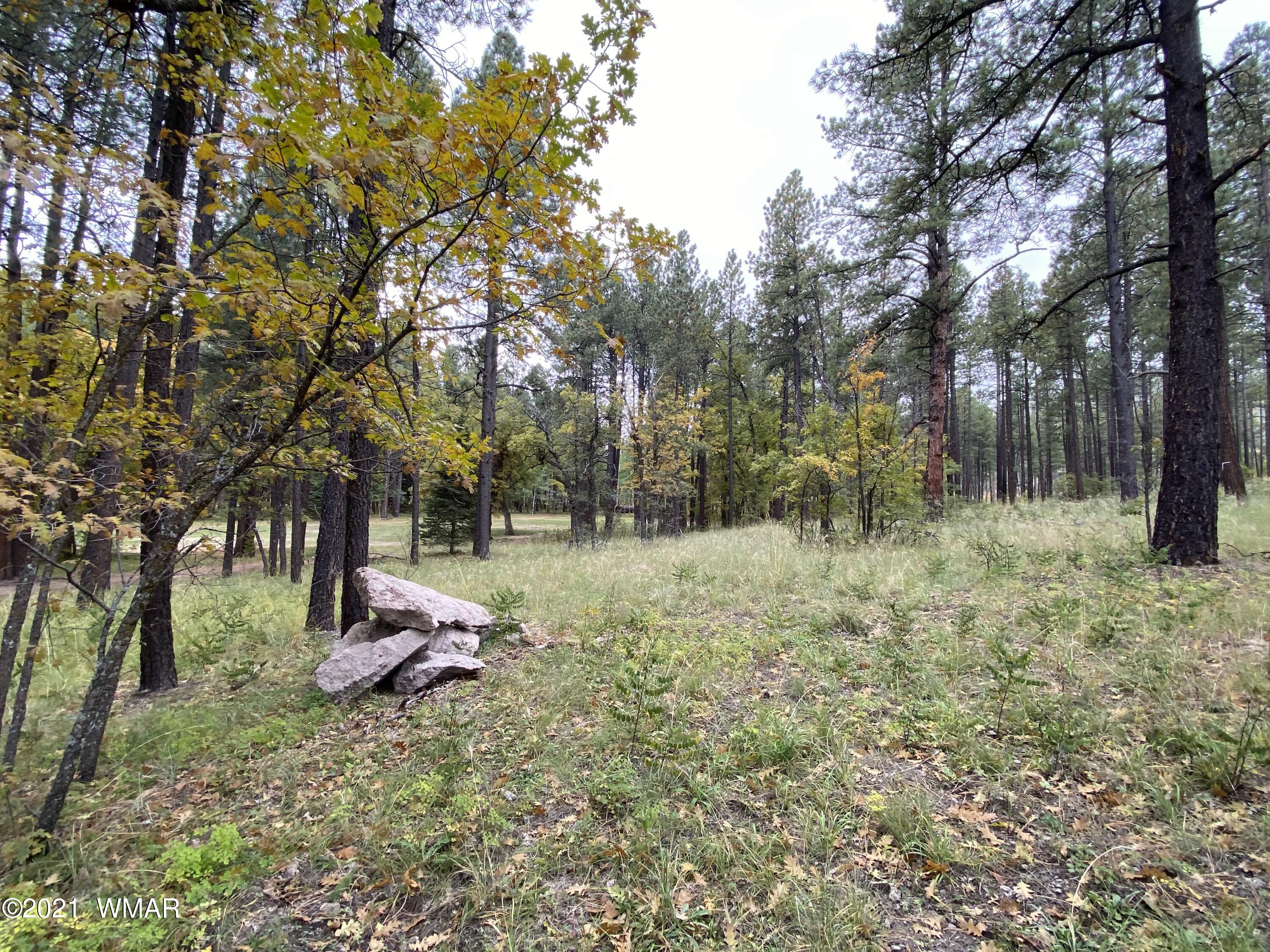13 County Road Alpine, AZ 85920 - Photo 9 of 24