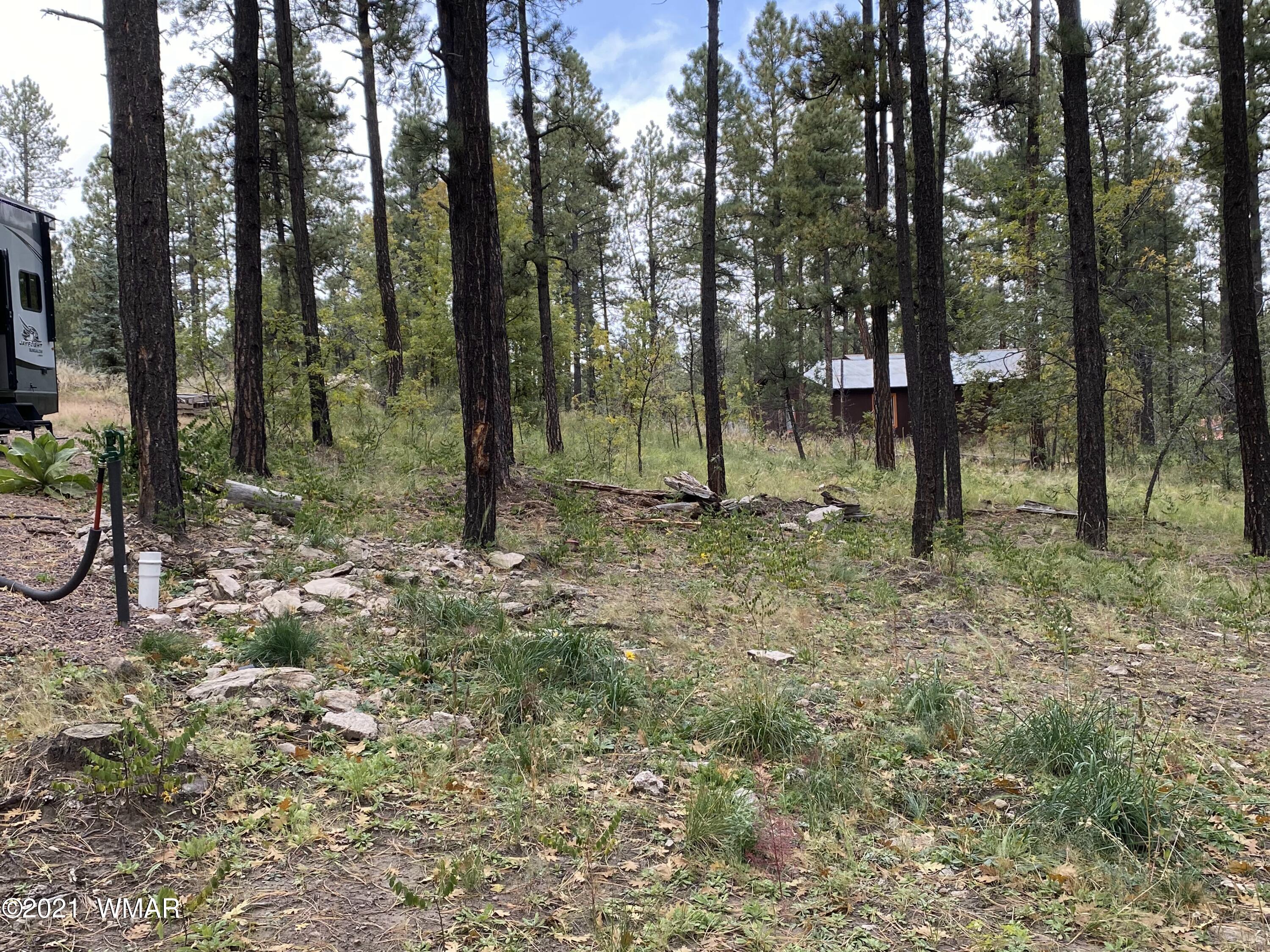 13 County Road Alpine, AZ 85920 - Photo 10 of 24