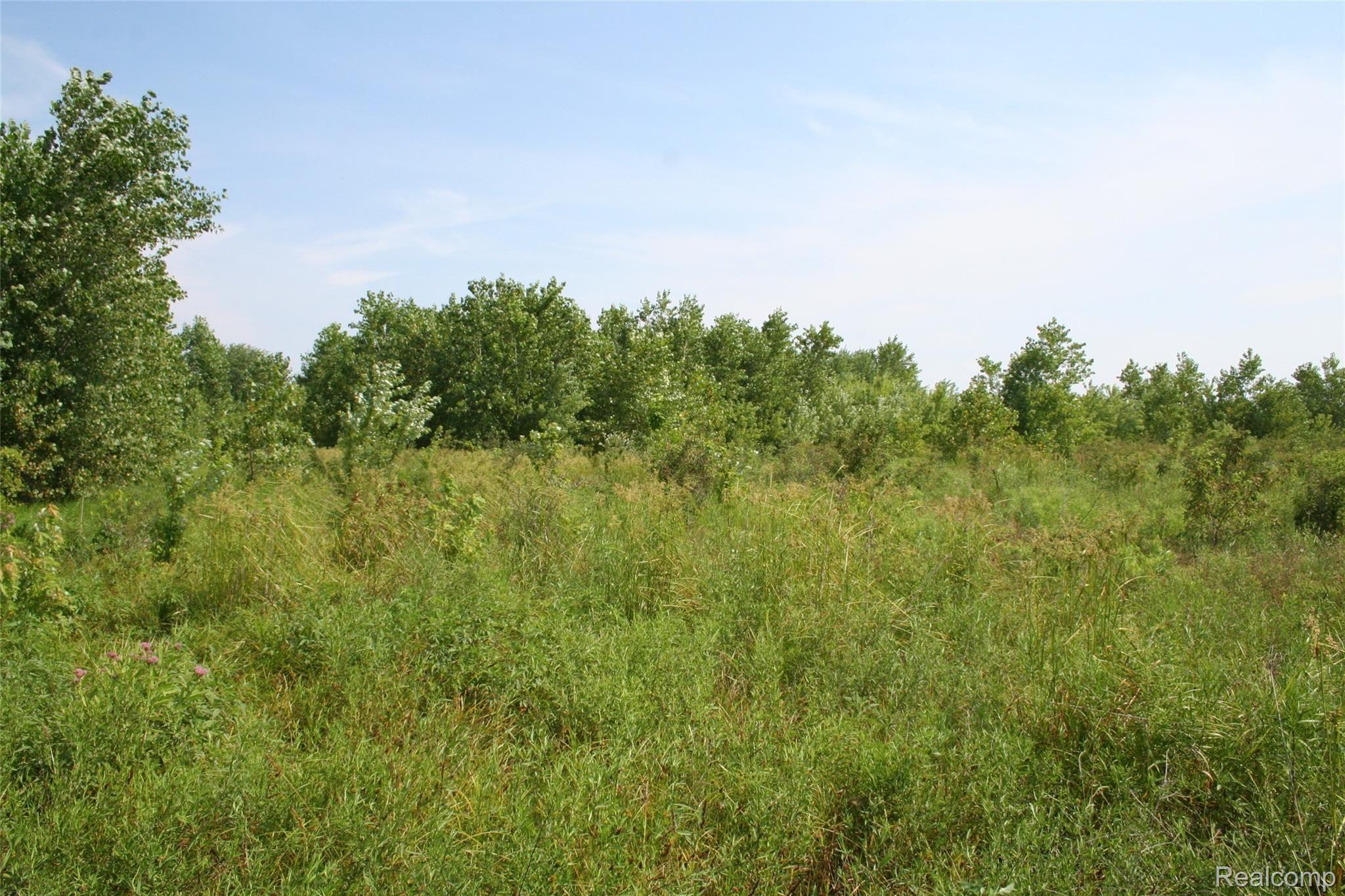 1950 Buhl Road Newport, MI 48166 - Photo 42 of 58 IMG_3336.JPG